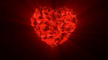 Wedding Day and rose heart exploding Stock Video Footage - Videoblocks