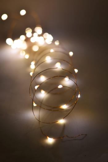 Outdoor Fairy Lights 20 FT Battery Op. 60 Warm White LED Light ...