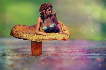 Fairy on the Mushroom