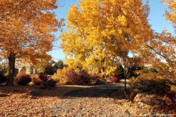 17 Activities To Do In Reno During The Fall Season