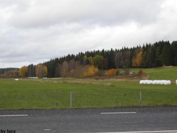 Fall 2008 in Sweden