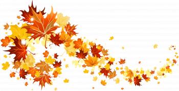 Fall Leaves Transparent Picture | Gallery Yopriceville - High ...