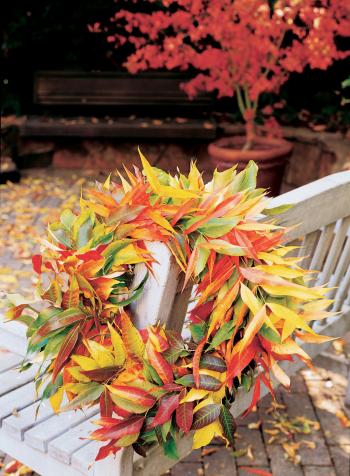 4 Ways to Decorate with Fall Leaves - Sunset Magazine