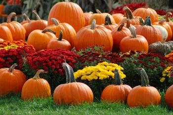 frazierfarms | FALL SEASON