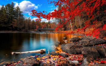 Fall Wallpaper Desktop Background ~ Sdeerwallpaper | Nature ...