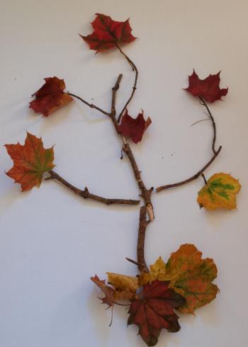 Fall tree recreated