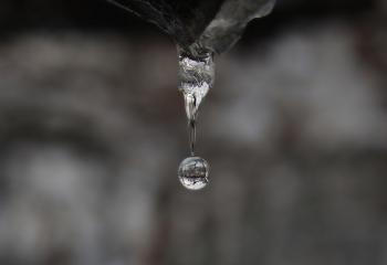 File:A tiny world in a fallen drop.jpg - Wikimedia Commons