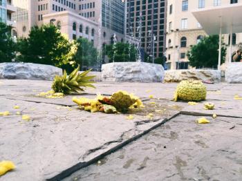 Fallen Pineapple