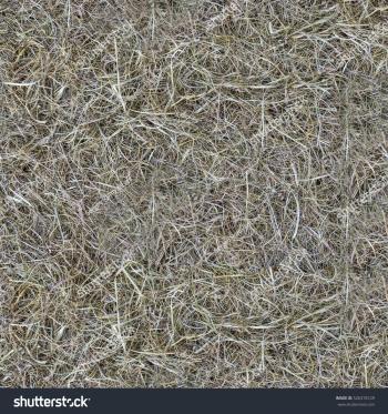 Photos Seamless Texture Hay Stock Photo 526318129 - Shutterstock