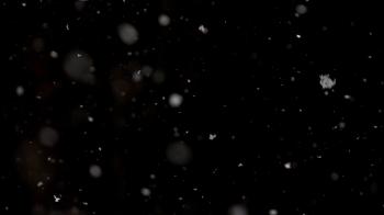Beachfront B-Roll: Snow Falling (Free to Use HD Stock Video Special ...