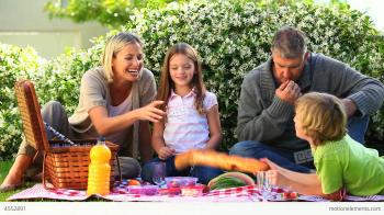Family Picnic On Lawn Stock video footage | 4552891