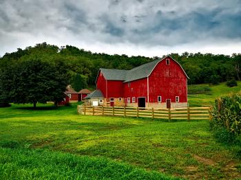 Farm Pictures [304 Results] · Pexels · Free Stock Photos