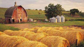 Corporate LiveWire - Crawshaw Group plc Acquires Gabbotts Farm ...