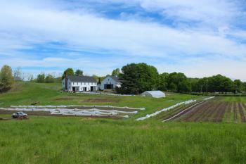 Visit the Farm