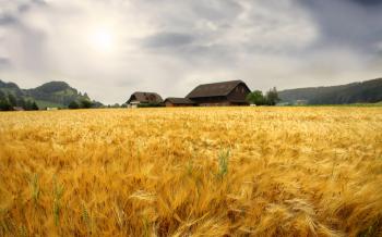 Farm house / 1920 x 1200 / Nature / Photography | MIRIADNA.COM