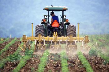The hoe, the plough and the tractor; in Zambia's quest for ...