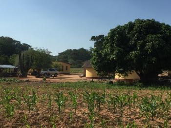 No condition is permanent”: small-scale commercial farming in ...