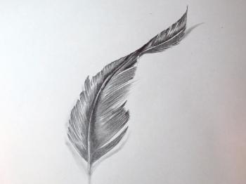 How To Draw A Feather - YouTube