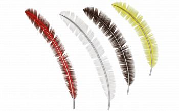 Feather Graphic