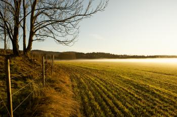 File:Misty field, Telemark, Norway.jpg - Wikimedia Commons
