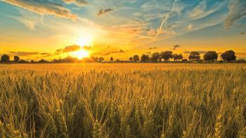 Fields of Grace- Big Daddy Weave HD - YouTube