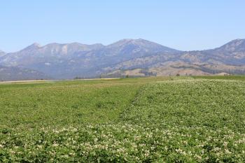 Field to Fork