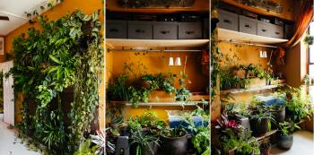My 1200sqft: Inside Summer Rayne Oakes' Williamsburg Oasis Filled ...