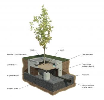 Niantic River Tree Filters | Niantic River Watershed
