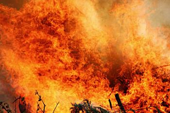 Fire.jpg