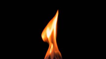 Natural burning fire flame on the black background. Red and yellow ...