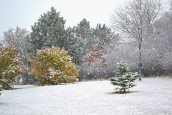 The First Snow | simply necessary