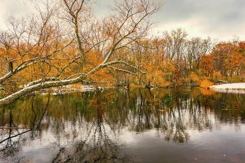 Stillness After First Snowfall | Edward Byrne: Photography Journal, 2013