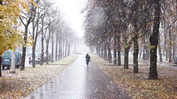 First snow falling. Winter snowy weather at the street. Full HD ...