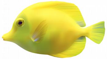 Yellow ZebrasomaTang Fish PNG Clipart - Best WEB Clipart