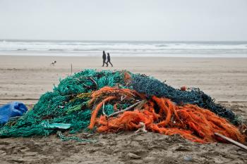 6 creative ways to tackle ghost gear | World Animal Protection ...