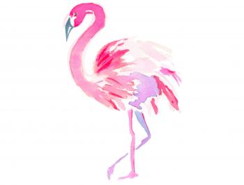 Pink Flamingo Print