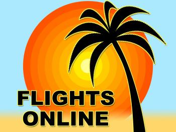 Flights Online Means Web Site And Aircraft
