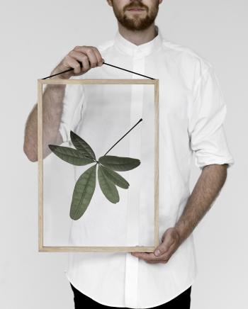 Paper Collective, Norm, Moebe, Floating Leaves 06 - THE POSTER CLUB