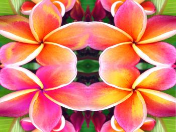 Floral symmetry abstract