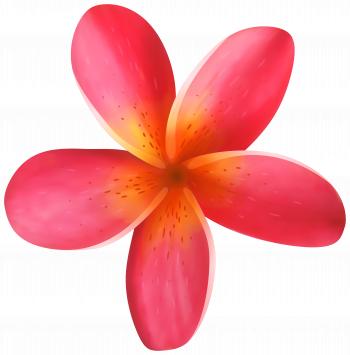 Tropical Flower PNG Clip Art Image | Gallery Yopriceville - High ...
