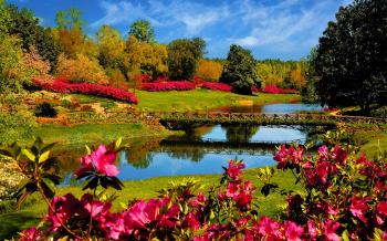 flower lake landscape 4000x2500 wallpaper | Bridges | Pinterest ...
