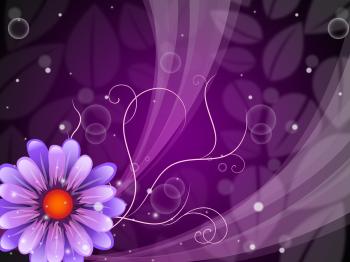 Flower Background Shows Petals Blooming And Beauty