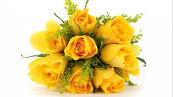 Flowers Bokeh Flower Landscape Rose Nature Garden Roses Beautiful ...