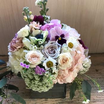 Spring flower box in Glendale, CA | Blomst Los Angeles