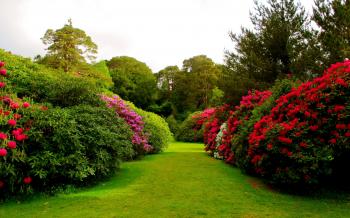 If you want to have a more productive garden, expand your growing ...