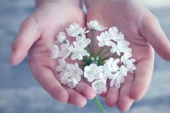 Free picture: petal, flower, flora, hand, blooming