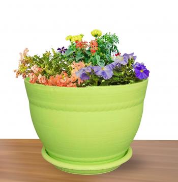 Livewell Green Matching Designer Pots In Assorted Colors Elegant ...