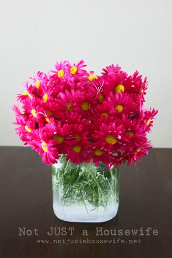 Flower Pot Cakes - Stacy Risenmay
