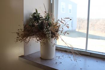 Flower Pot in the Window