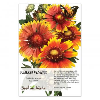 Blanket Flower Seeds (Gaillardia aristata) - Seeds
